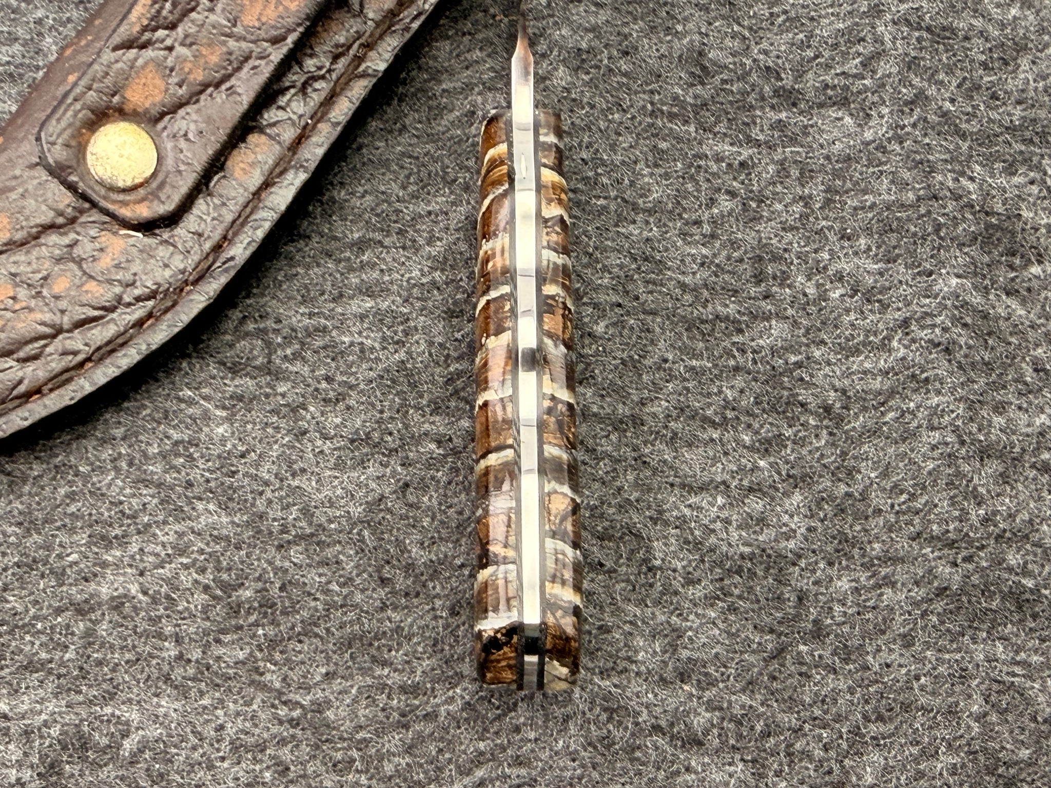 Arno Bernard - Squirrel Model w/ Mammoth Molar Handle - 5413