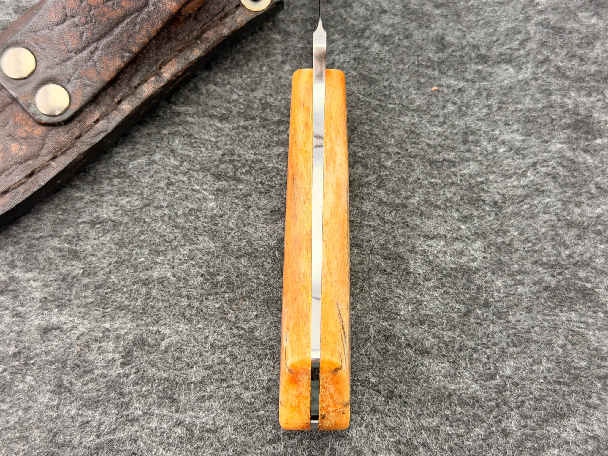 Arno Bernard - Wolverine Model w/ Giraffe Bone - 4602-1