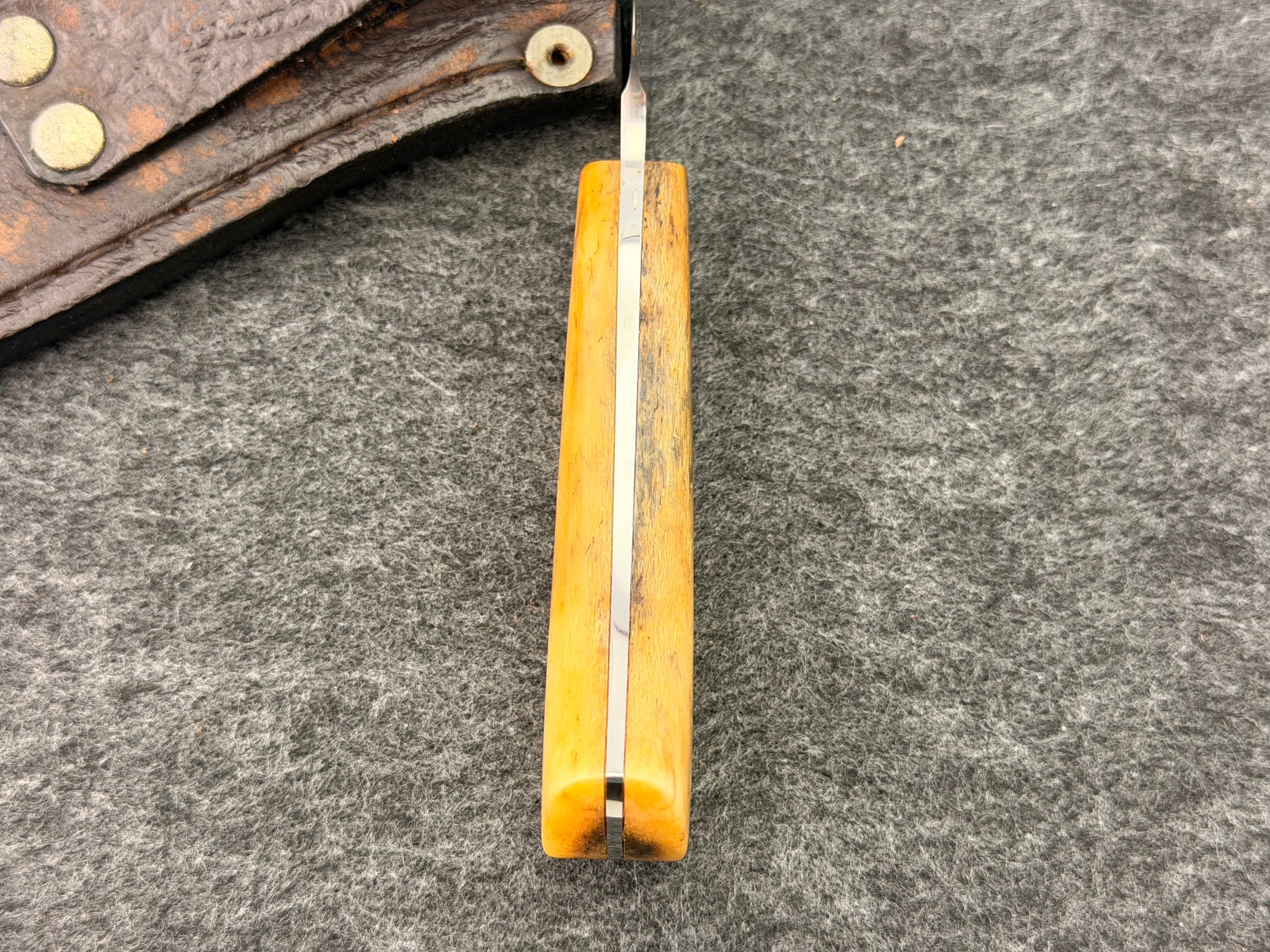 Arno Bernard - Warthog Model w/ Giraffe Bone - 3302