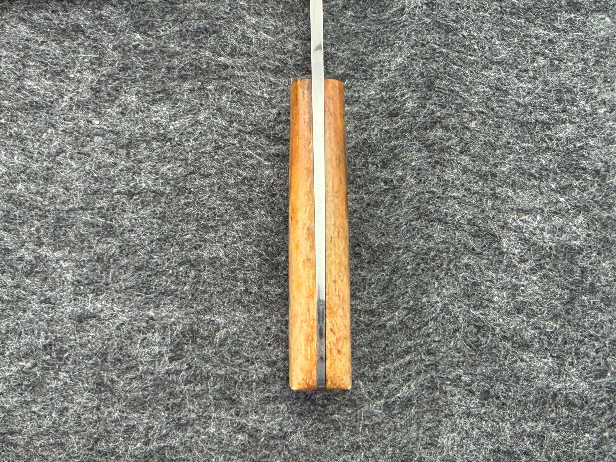Arno Bernard - Gecko Model w/ Giraffe Bone - 5302