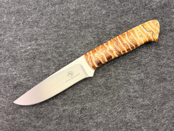 Arno Bernard - Croc Model w/ Mammoth Molar- 2413-2