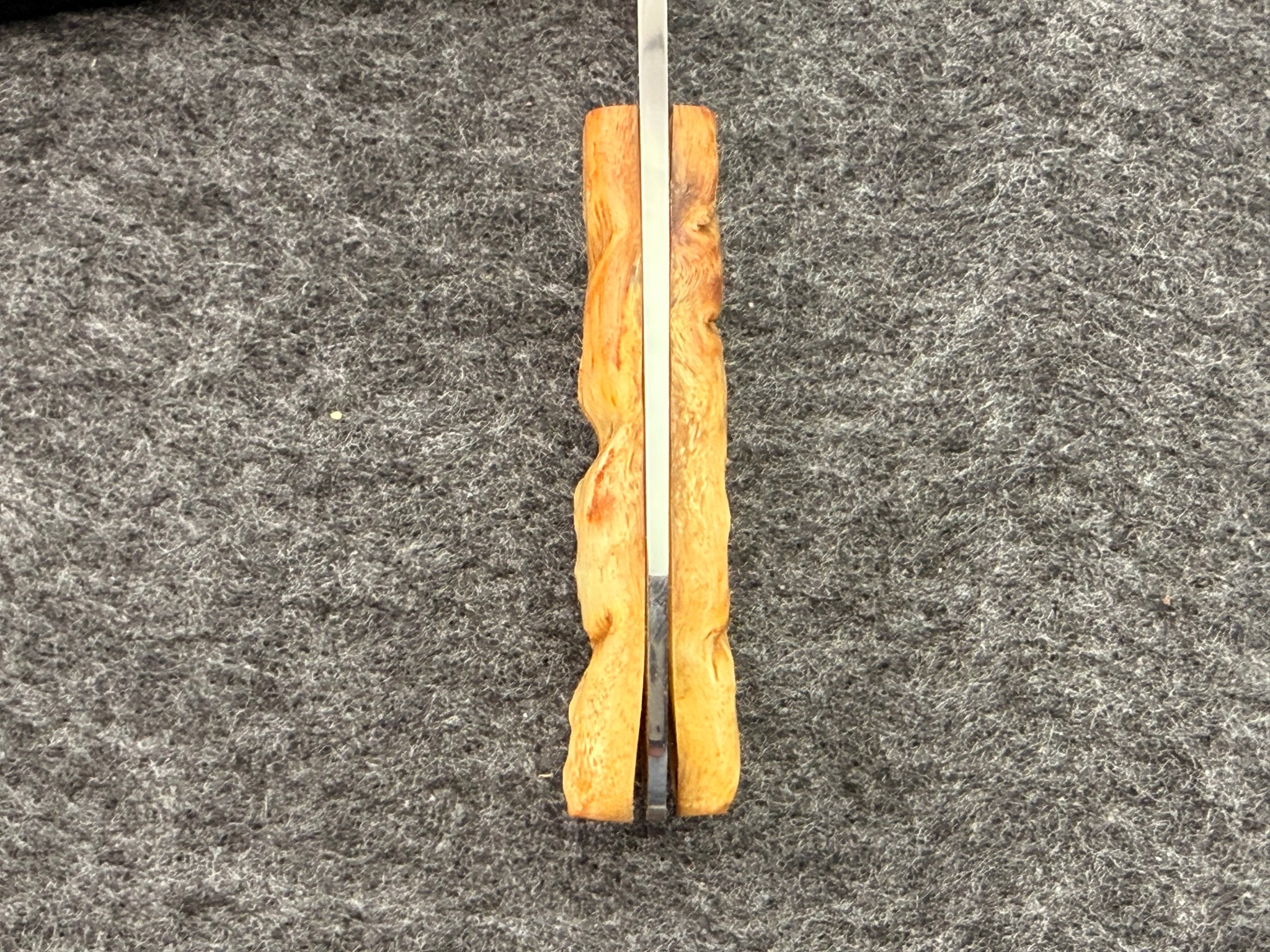 Arno Bernard - Gecko Model w/ Sheep Horn - 5304