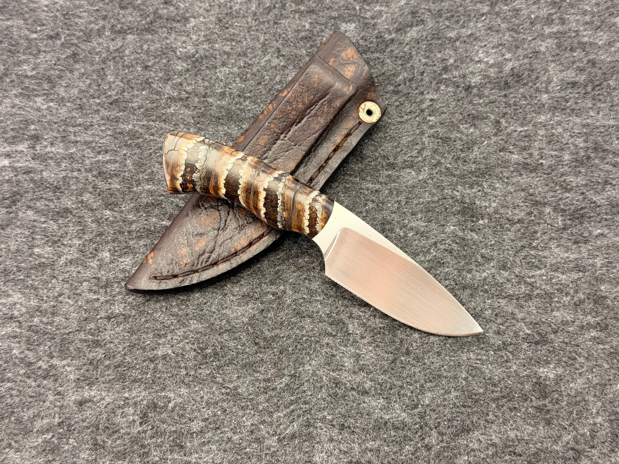 Arno Bernard - Gecko Model w/ Mammoth Molar Handle - 5313