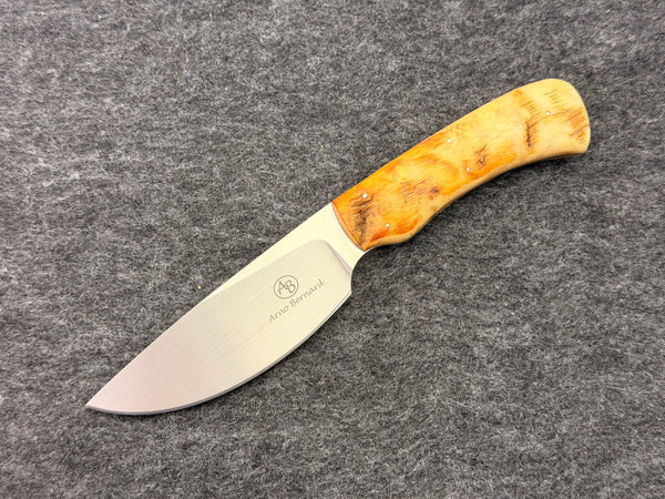 Arno Bernard - Warthog Model w/ Sheep Horn - 3304