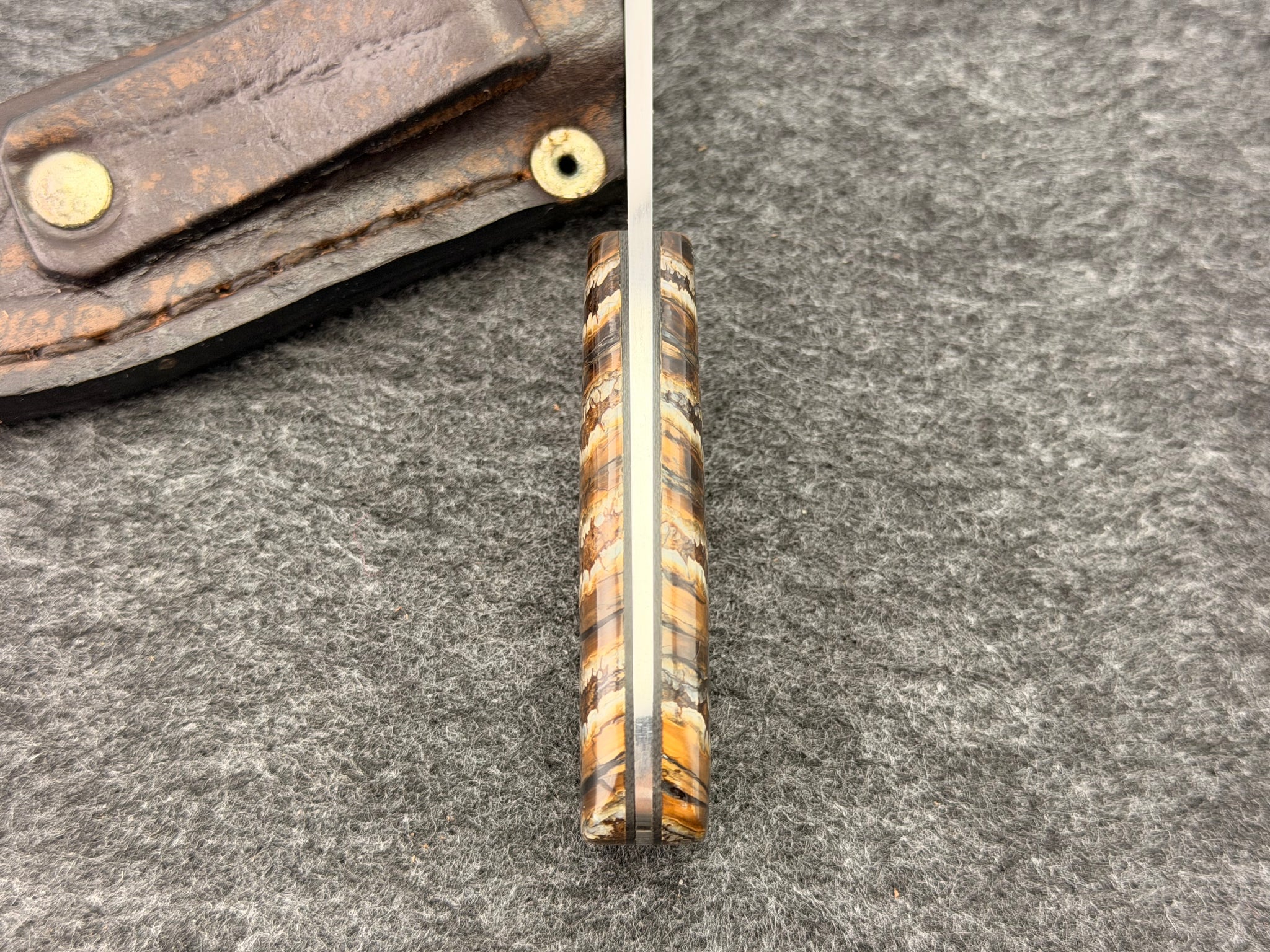 Arno Bernard - Gecko Model w/ Mammoth Molar Handle - 5313