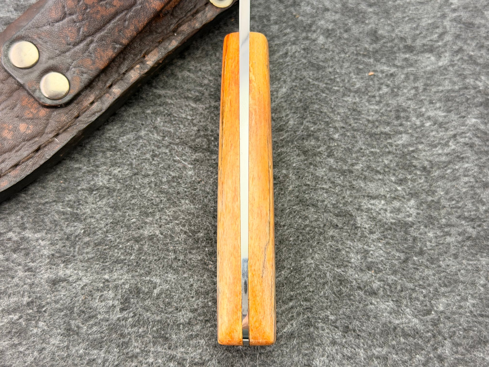 Arno Bernard - Wolverine Model w/ Giraffe Bone - 4602-1