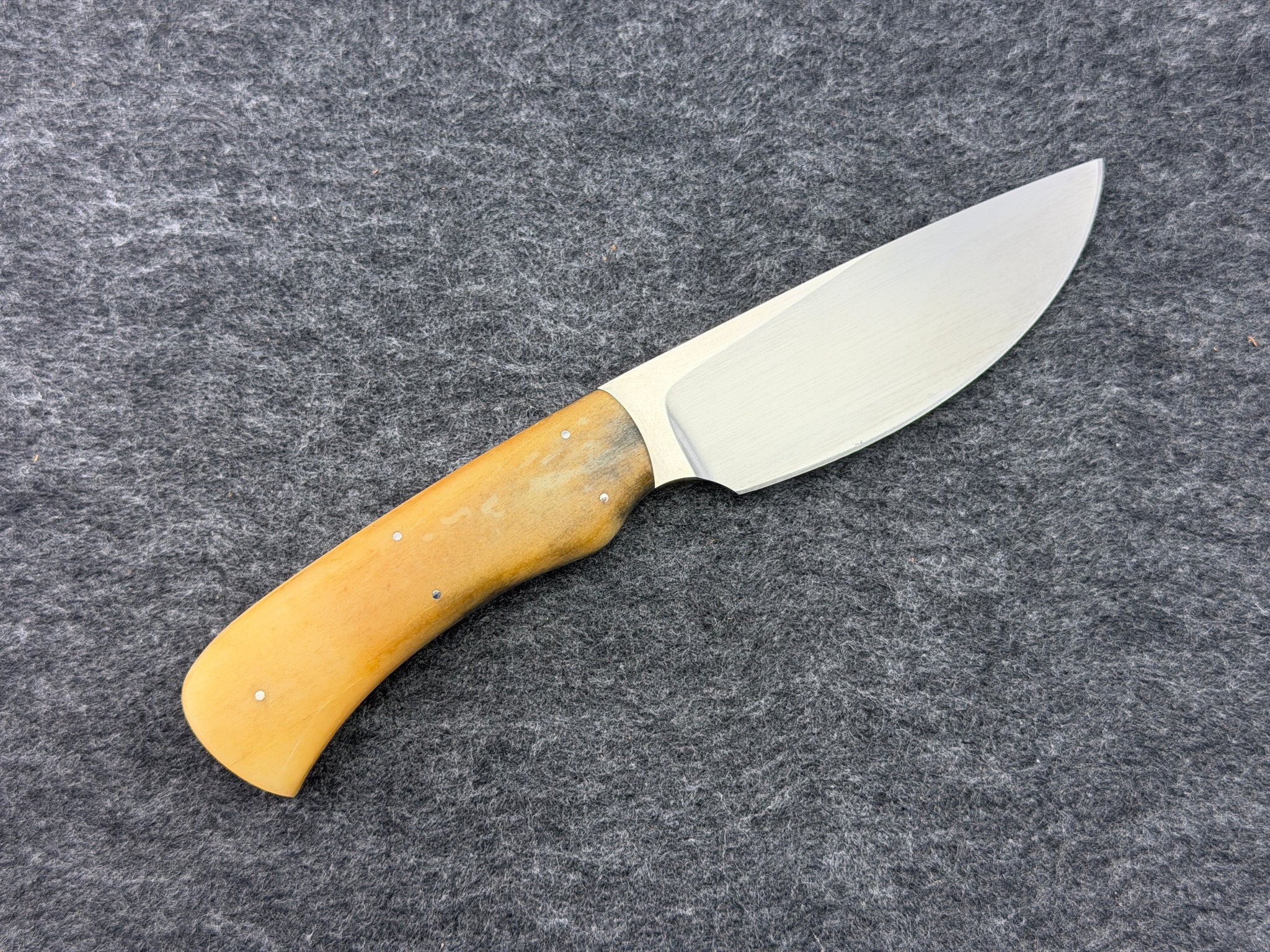 Arno Bernard - Warthog Model w/ Giraffe Bone - 3302 (2)