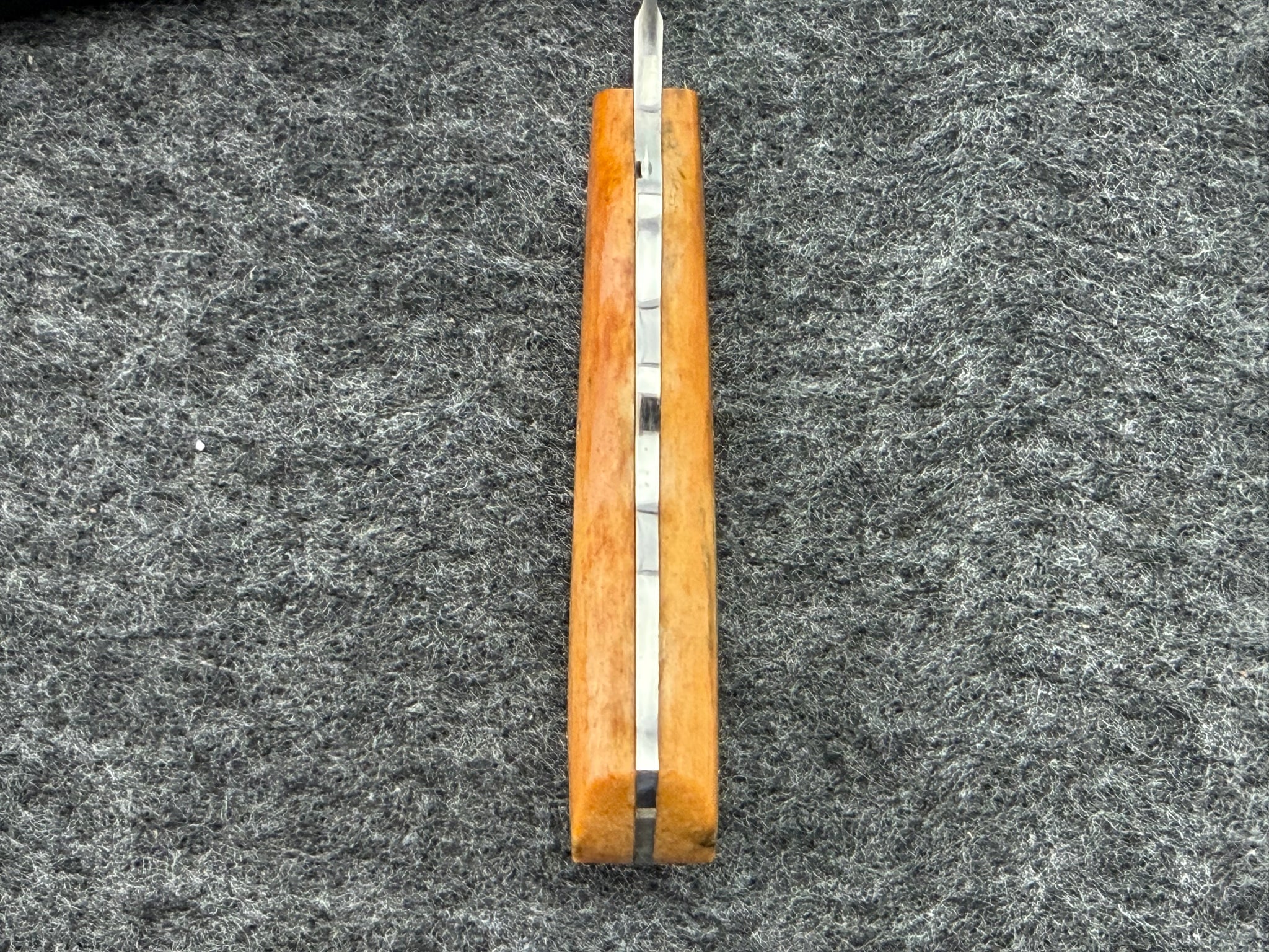 Arno Bernard - Squirrel Model w/ Giraffe Bone - 5402 (2)