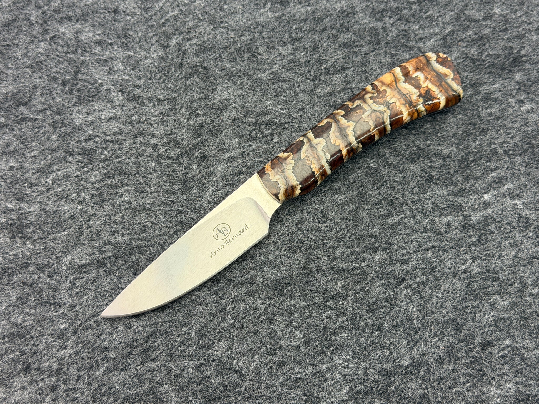 Arno Bernard - Jackal Model w/ Mammoth Molar - 4213