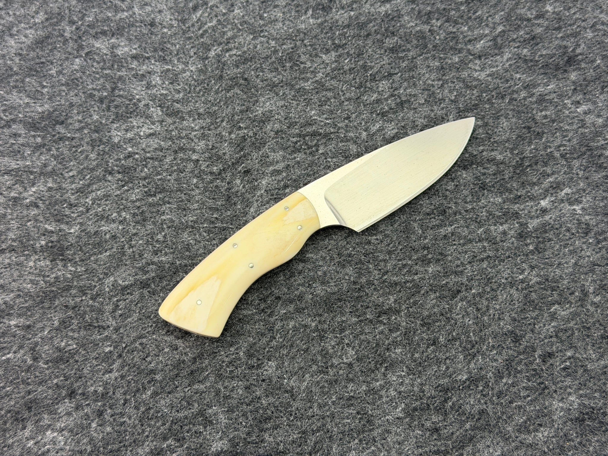 Arno Bernard - Gecko Model w/ Warthog Ivory handle - 5301