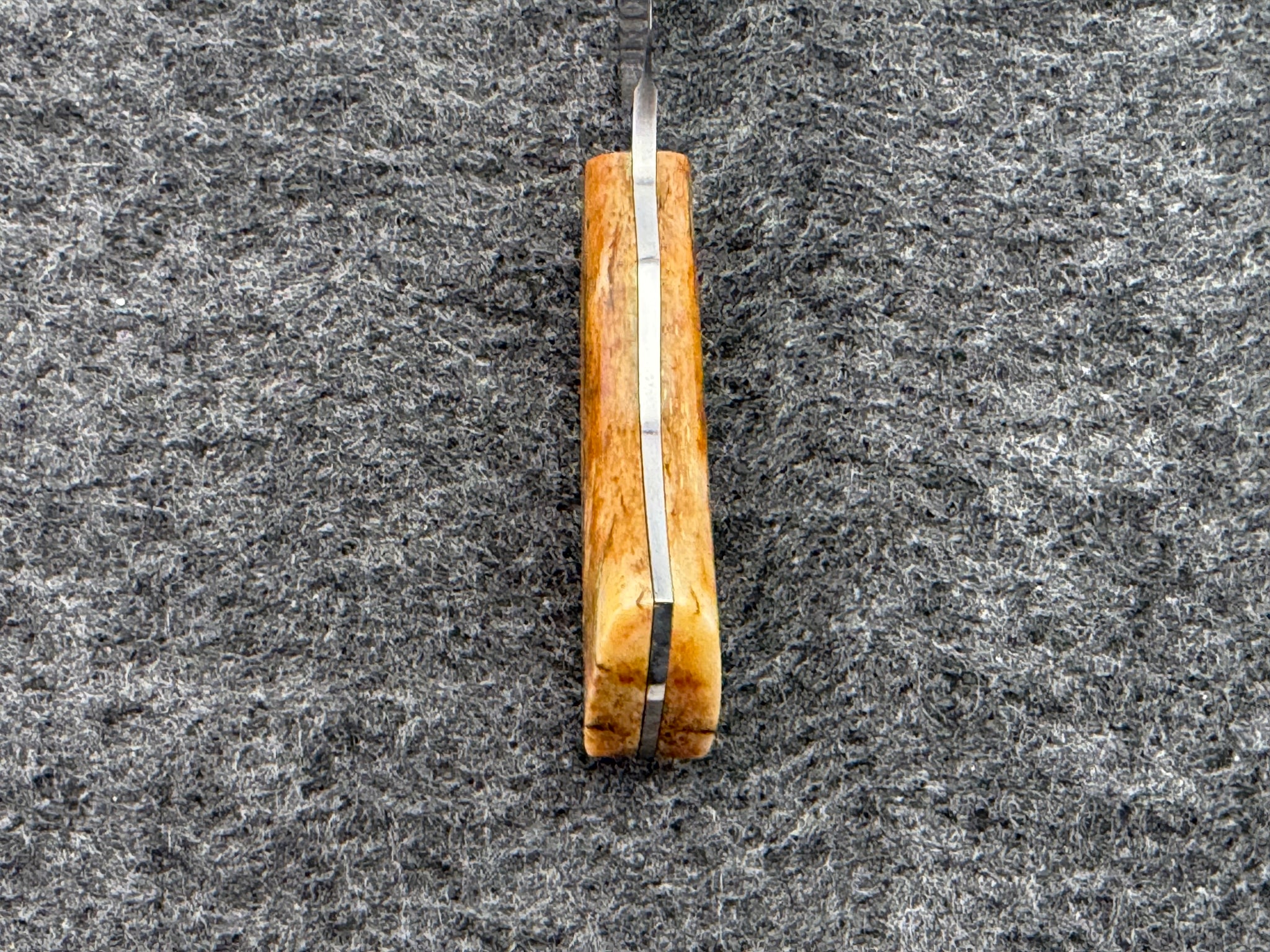 Arno Bernard - Gecko Model w/ Giraffe Bone - 5302