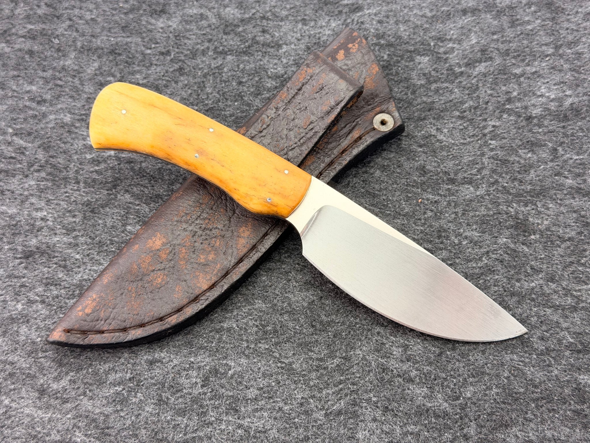 Arno Bernard - Warthog Model w/ Giraffe Bone - 3302
