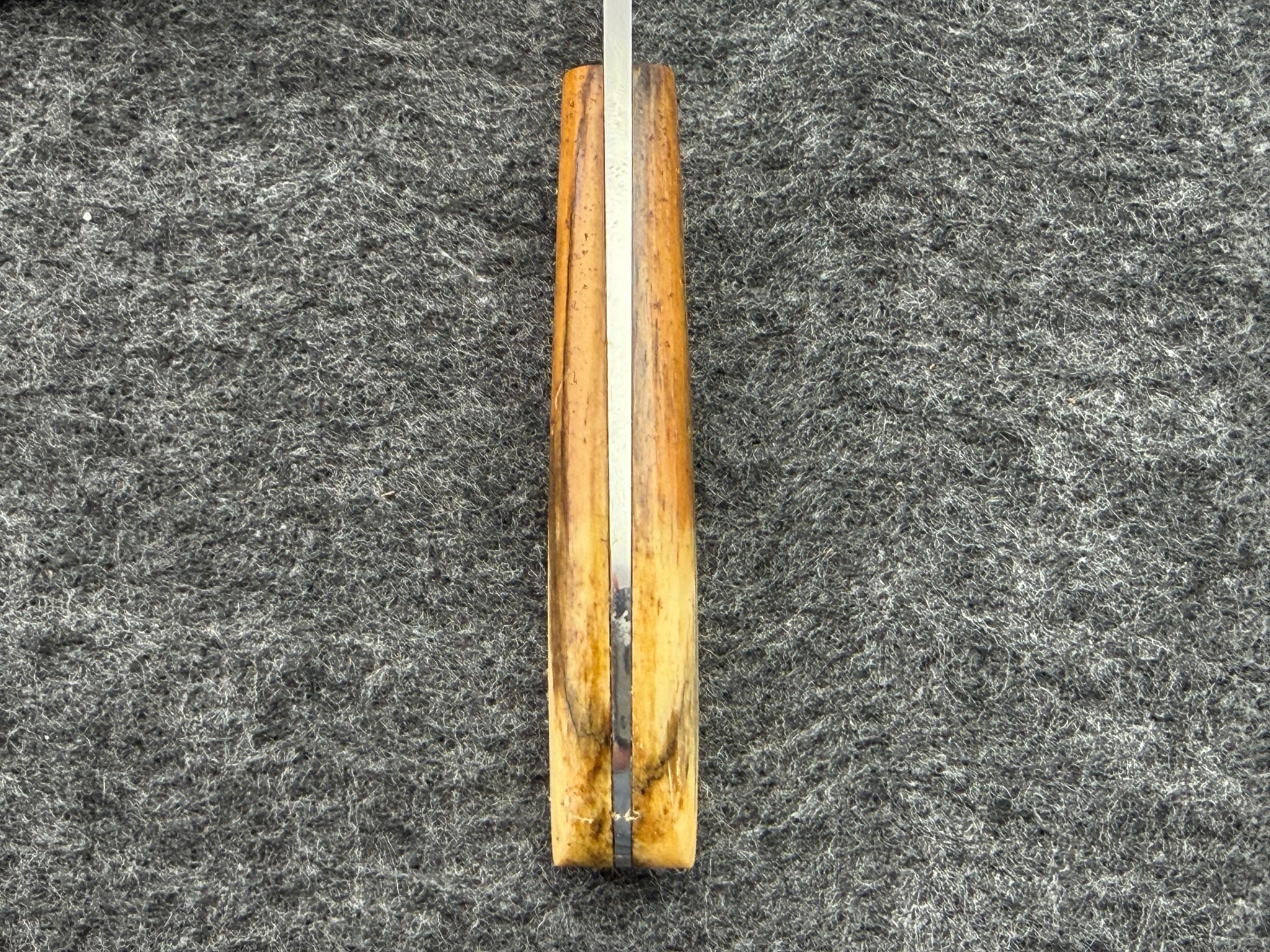 Arno Bernard - Squirrel Model w/ Giraffe Bone - 5402