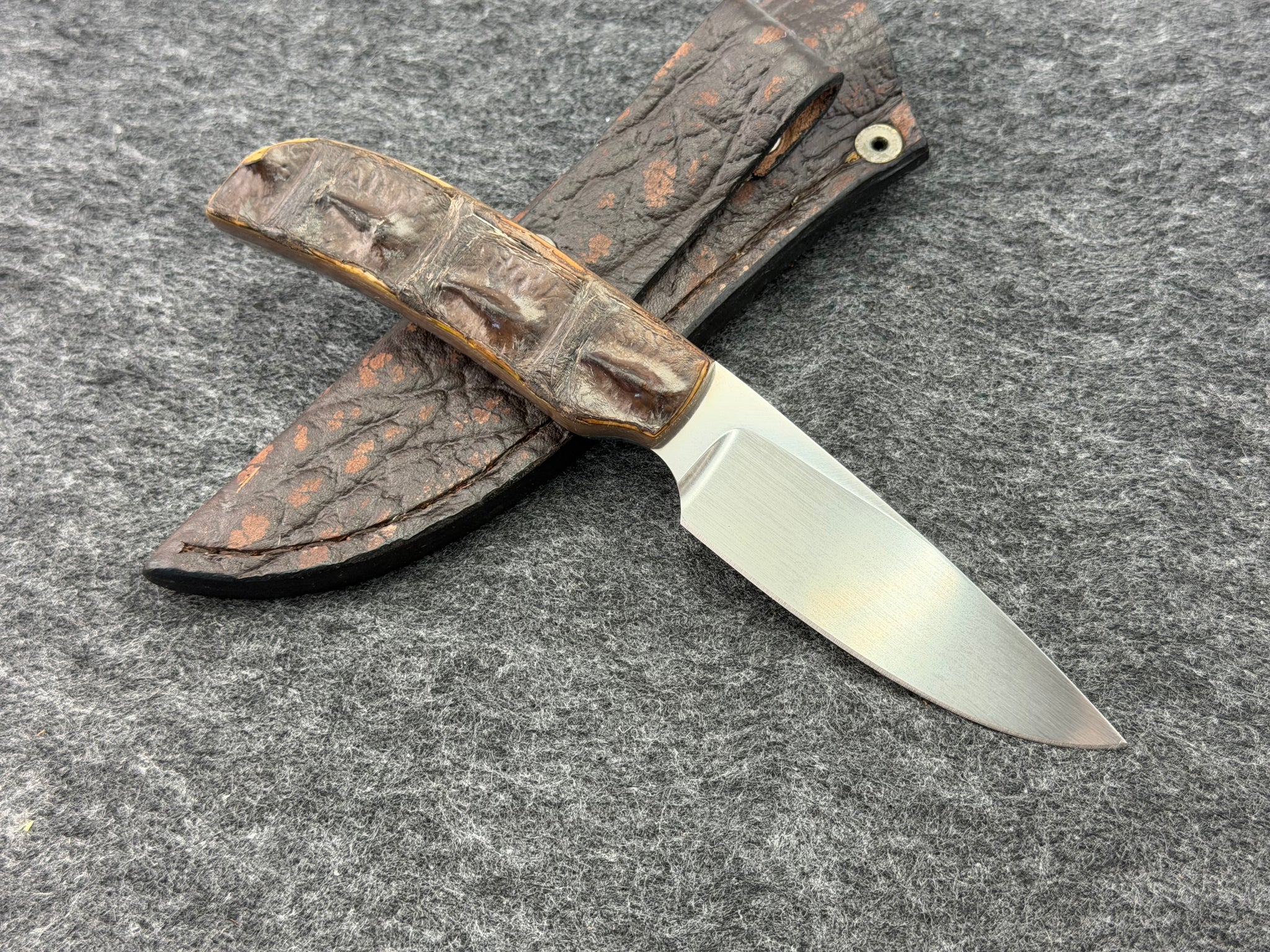Arno Bernard Wild Dog Model w/ Crocodile Hide Handle #4412-1