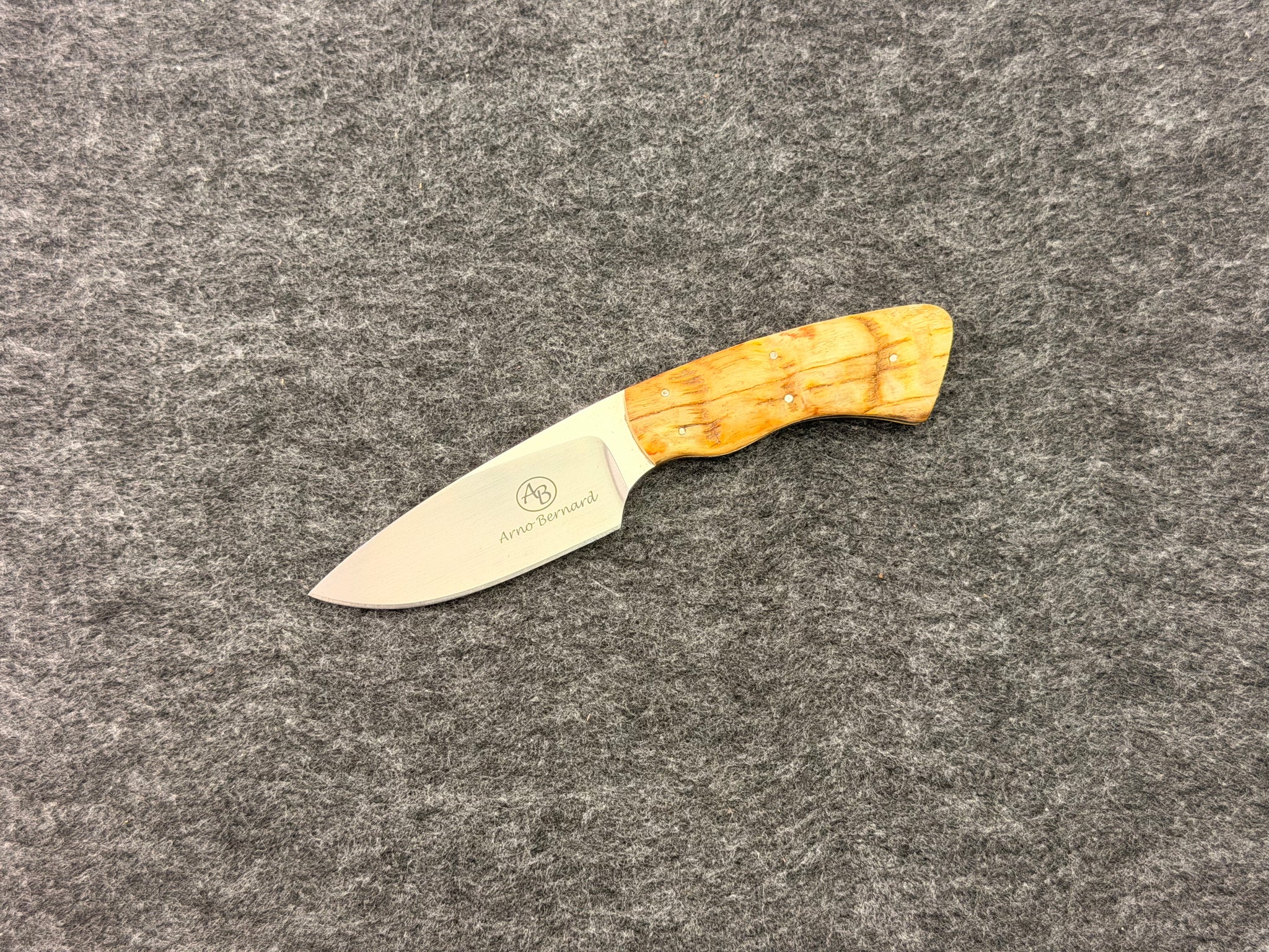 Arno Bernard - Gecko Model w/ Sheep Horn - 5304