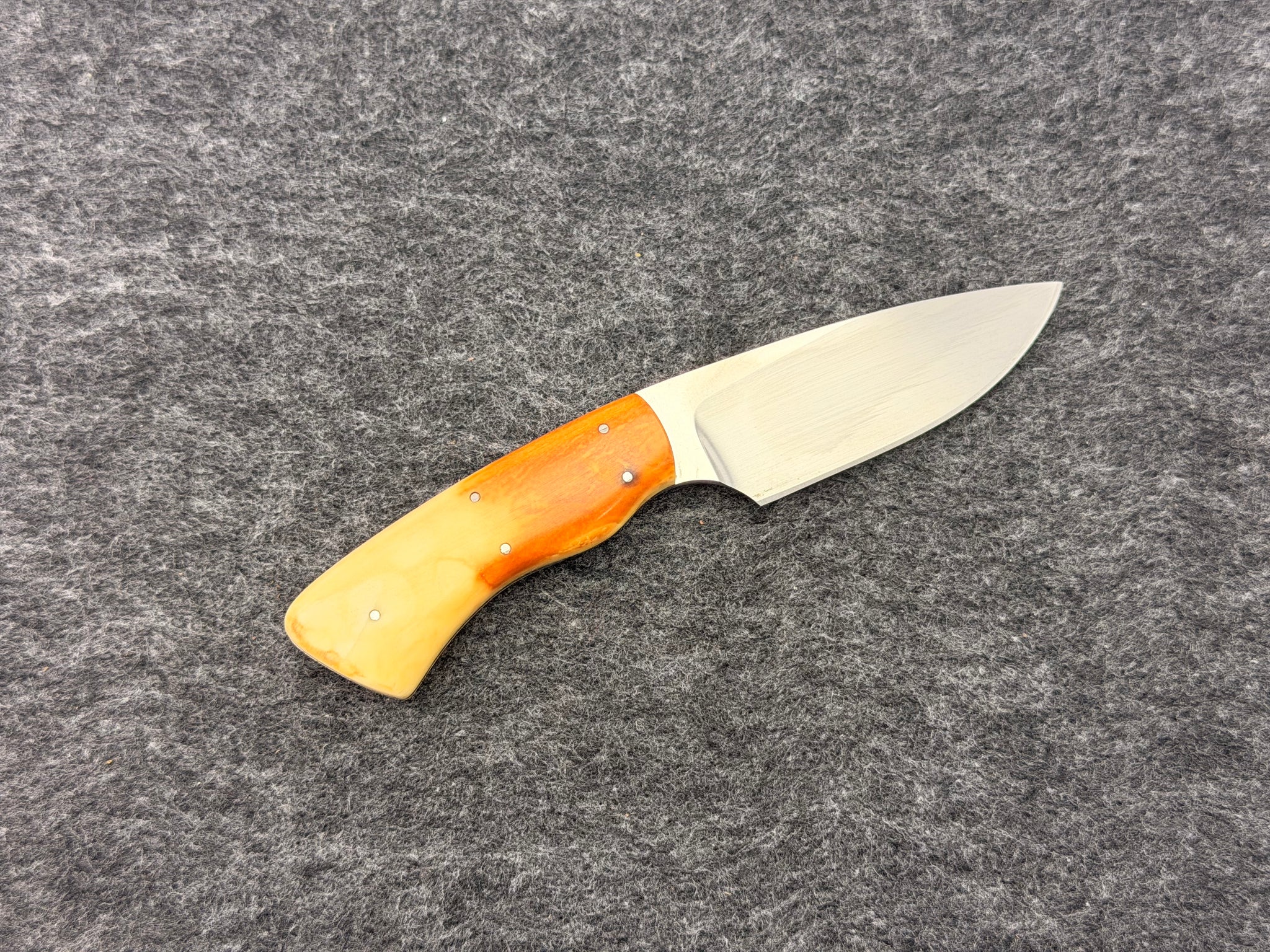 Arno Bernard - Gecko Model w/ Warthog Ivory - 5301