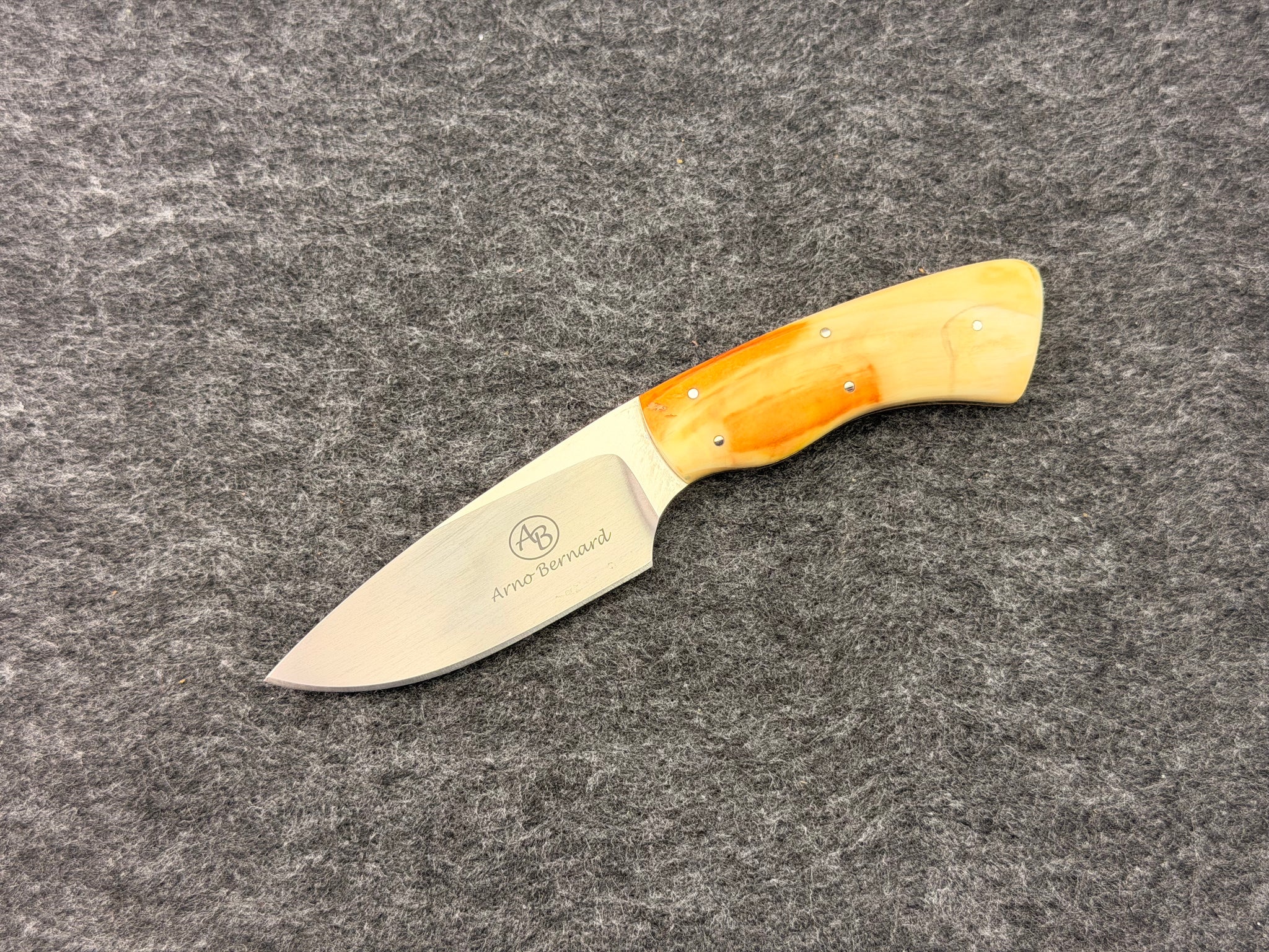 Arno Bernard - Gecko Model w/ Warthog Ivory - 5301