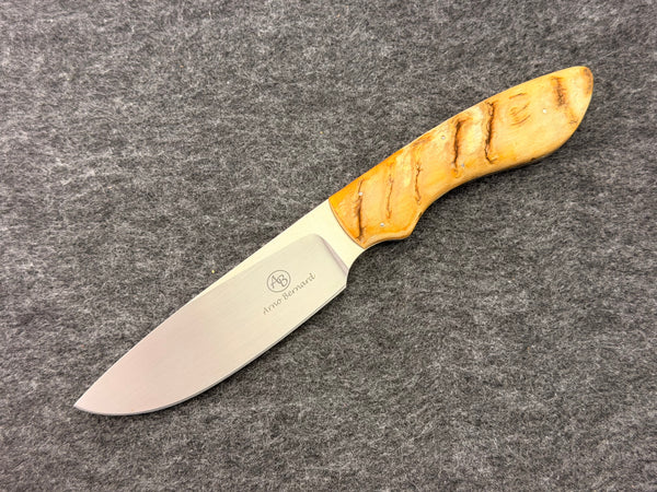 Arno Bernard - Lion Model w/ Sheep Horn - 2304