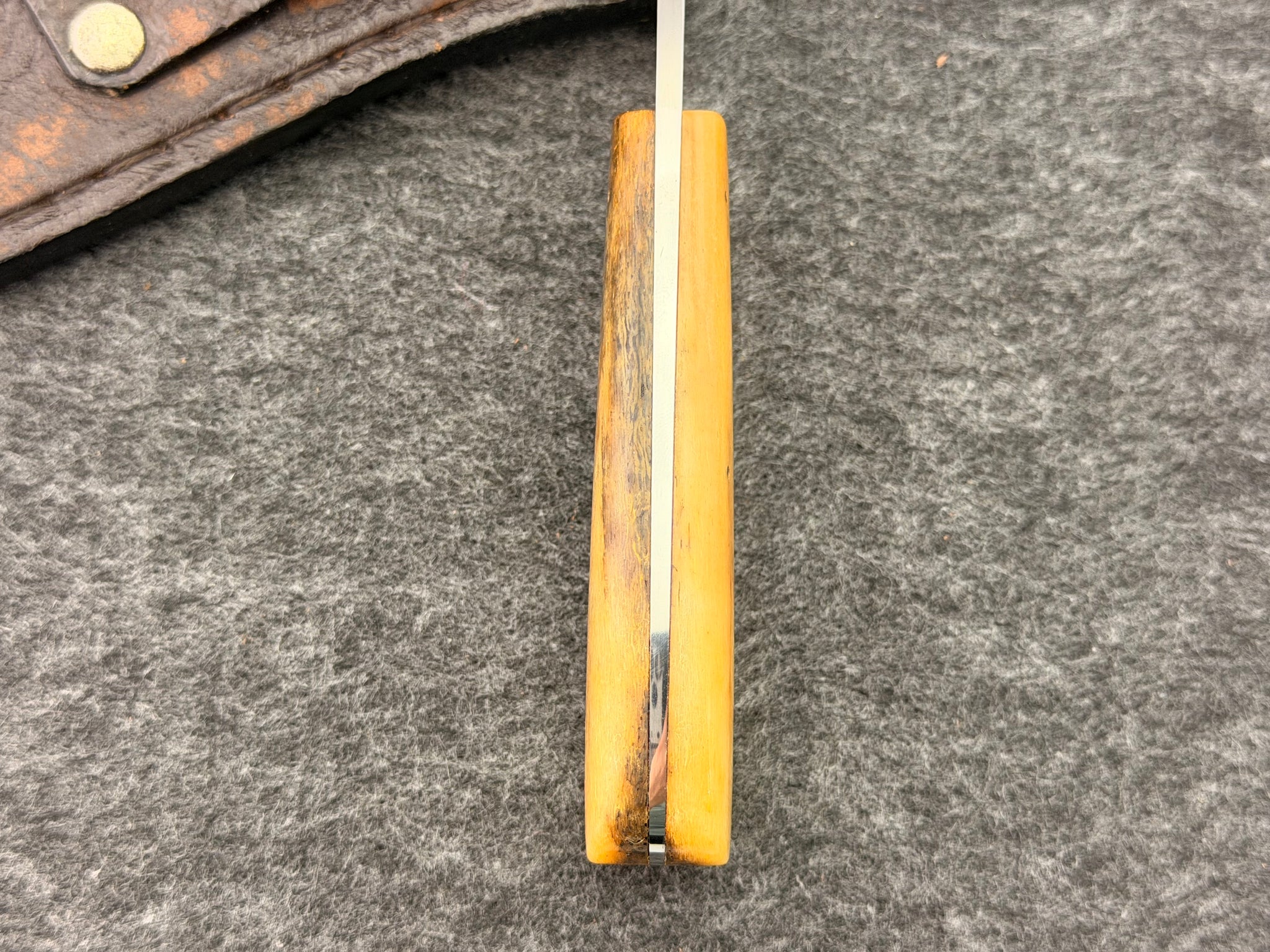 Arno Bernard - Warthog Model w/ Giraffe Bone - 3302