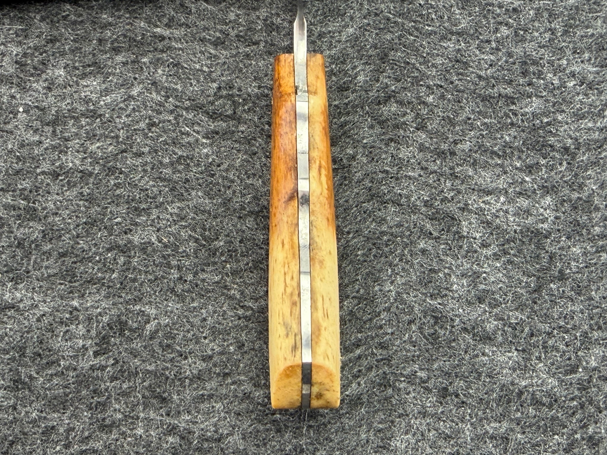 Arno Bernard - Squirrel Model w/ Giraffe Bone - 5402