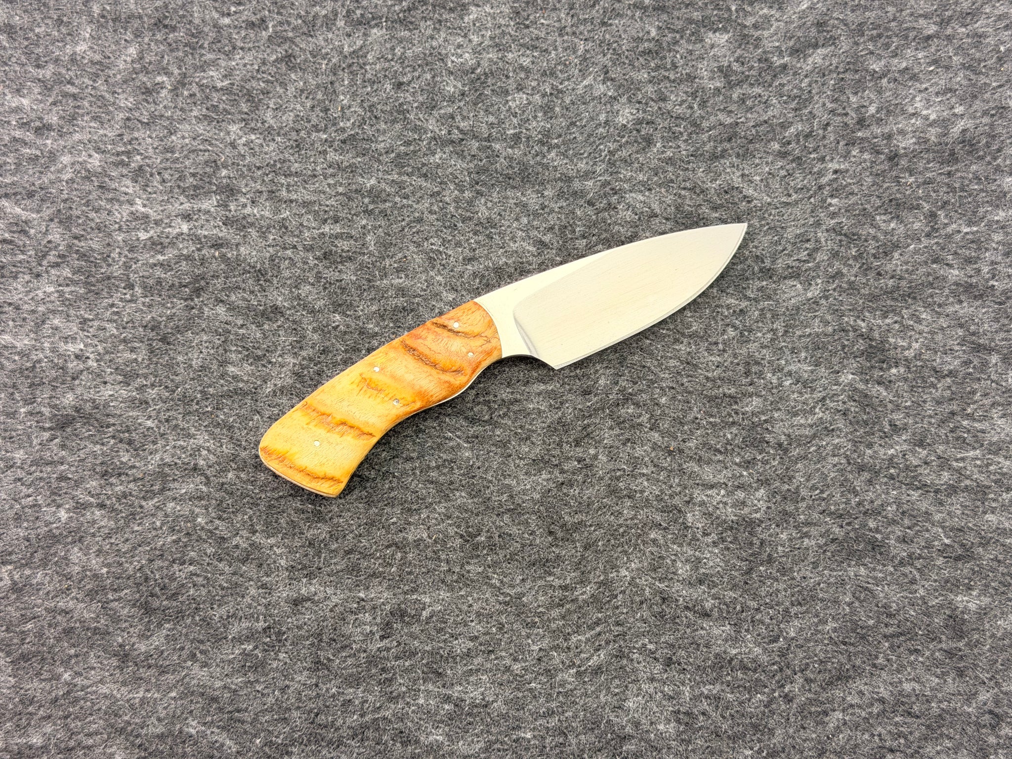 Arno Bernard - Gecko Model w/ Sheep Horn - 5304
