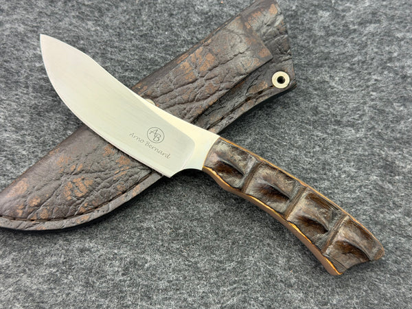 Arno Bernard Springbok Model w/ Crocodile Hide Handle #3512-1
