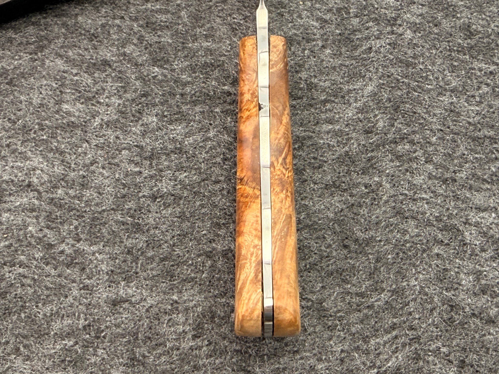 Arno Bernard - Vulture Model w/ Wild Olive - 4315