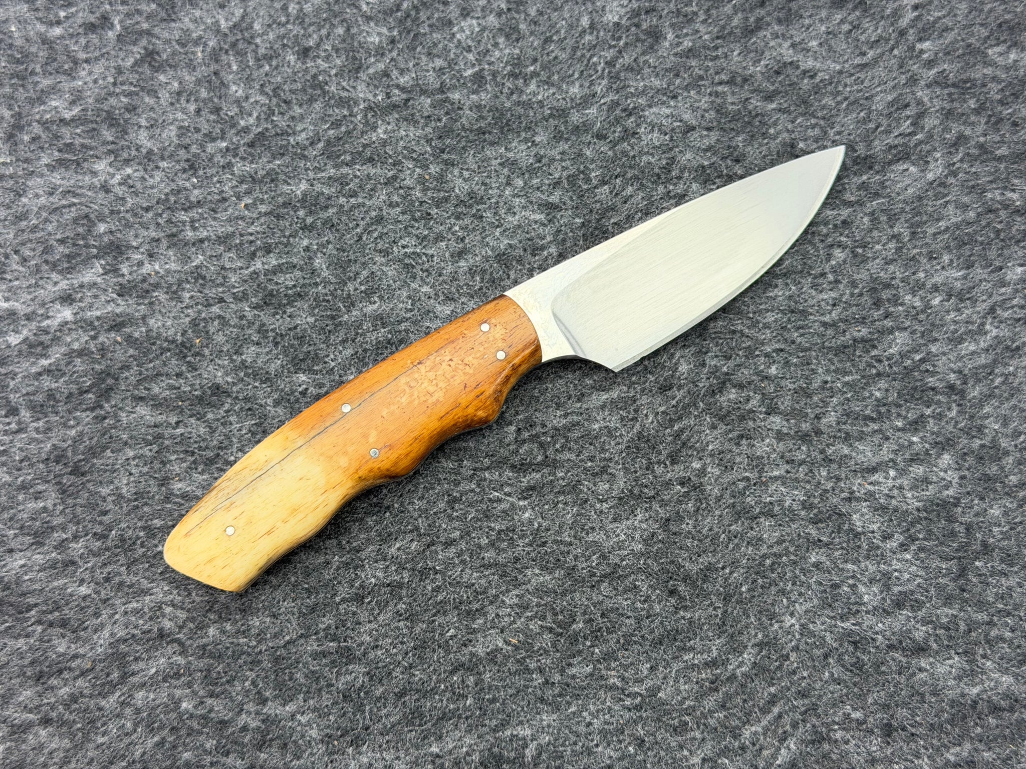 Arno Bernard - Squirrel Model w/ Giraffe Bone - 5402