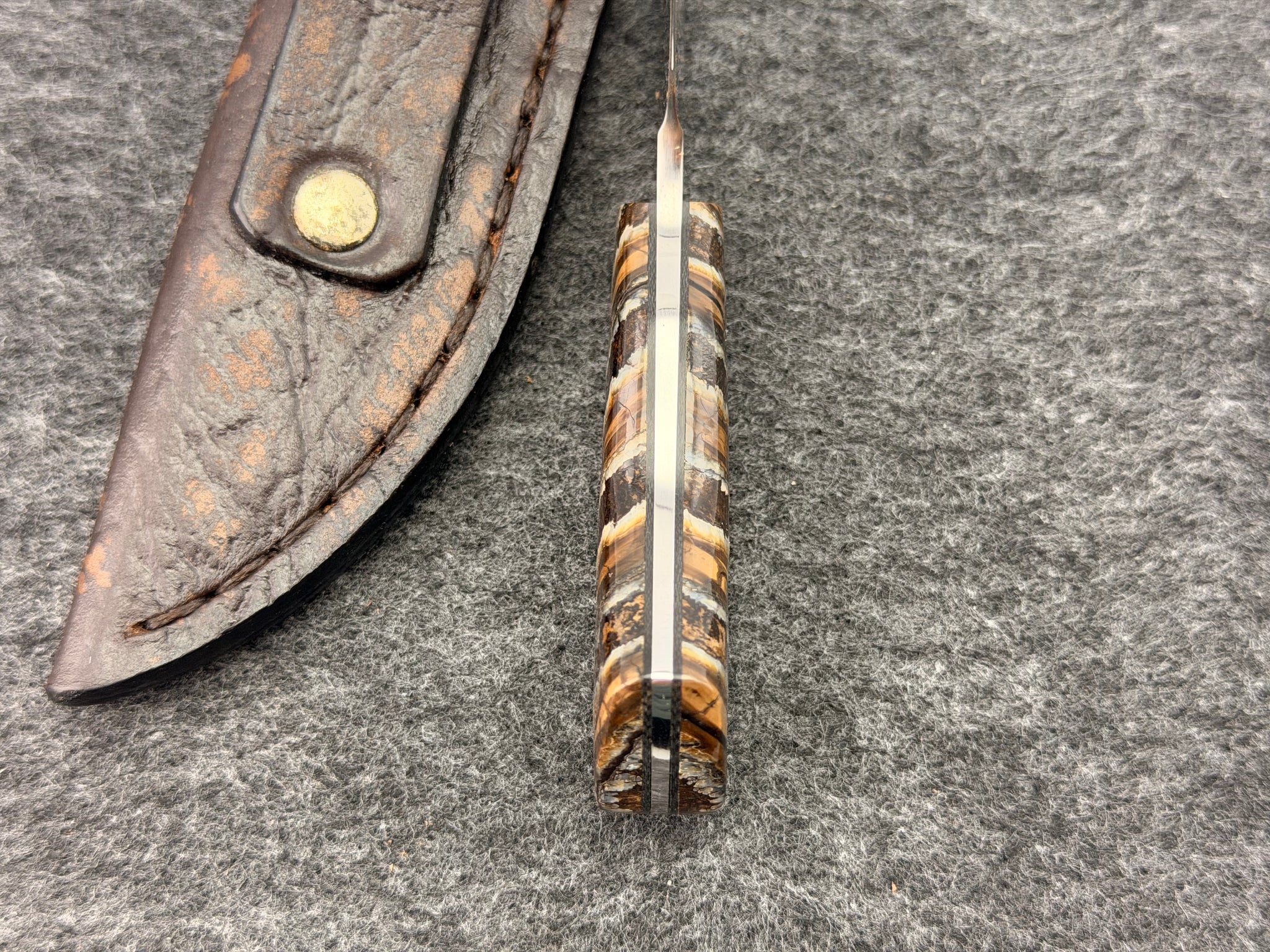 Arno Bernard - Gecko Model w/ Mammoth Molar Handle - 5313