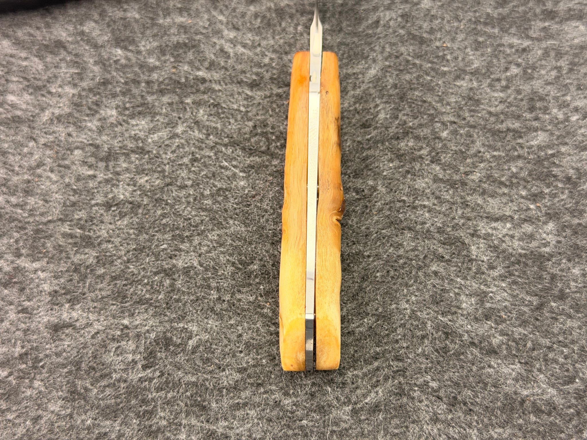 Arno Bernard - Galago Model w/ Sheep Horn - 5604