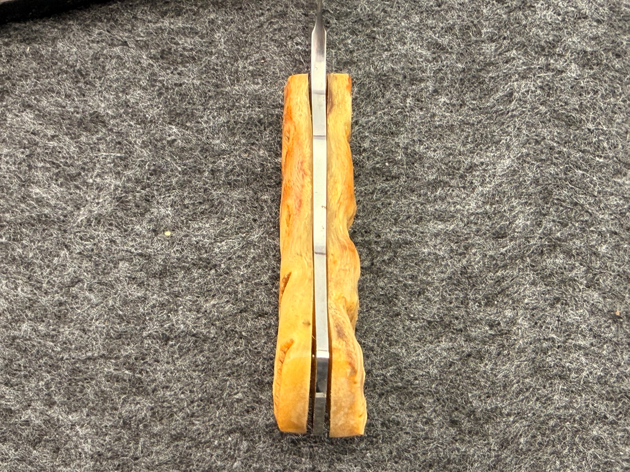 Arno Bernard - Gecko Model w/ Sheep Horn - 5304