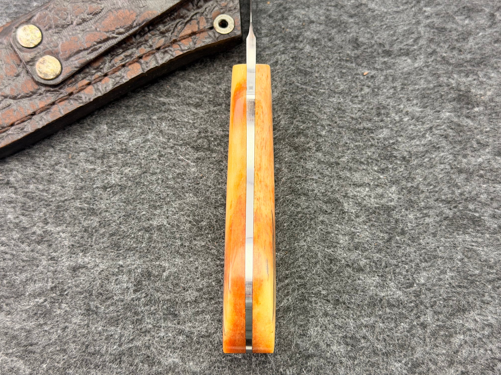 Arno Bernard - Lion Model w/ Giraffe Bone Handle - 2302