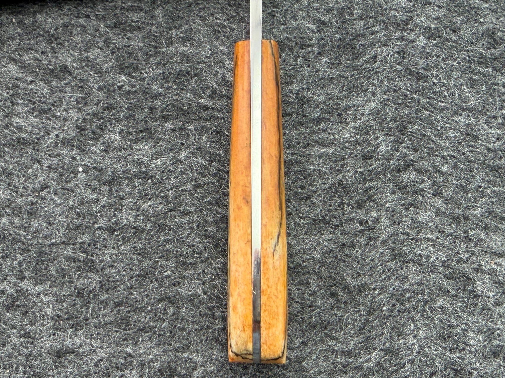 Arno Bernard - Squirrel Model w/ Giraffe Bone - 5402 (2)