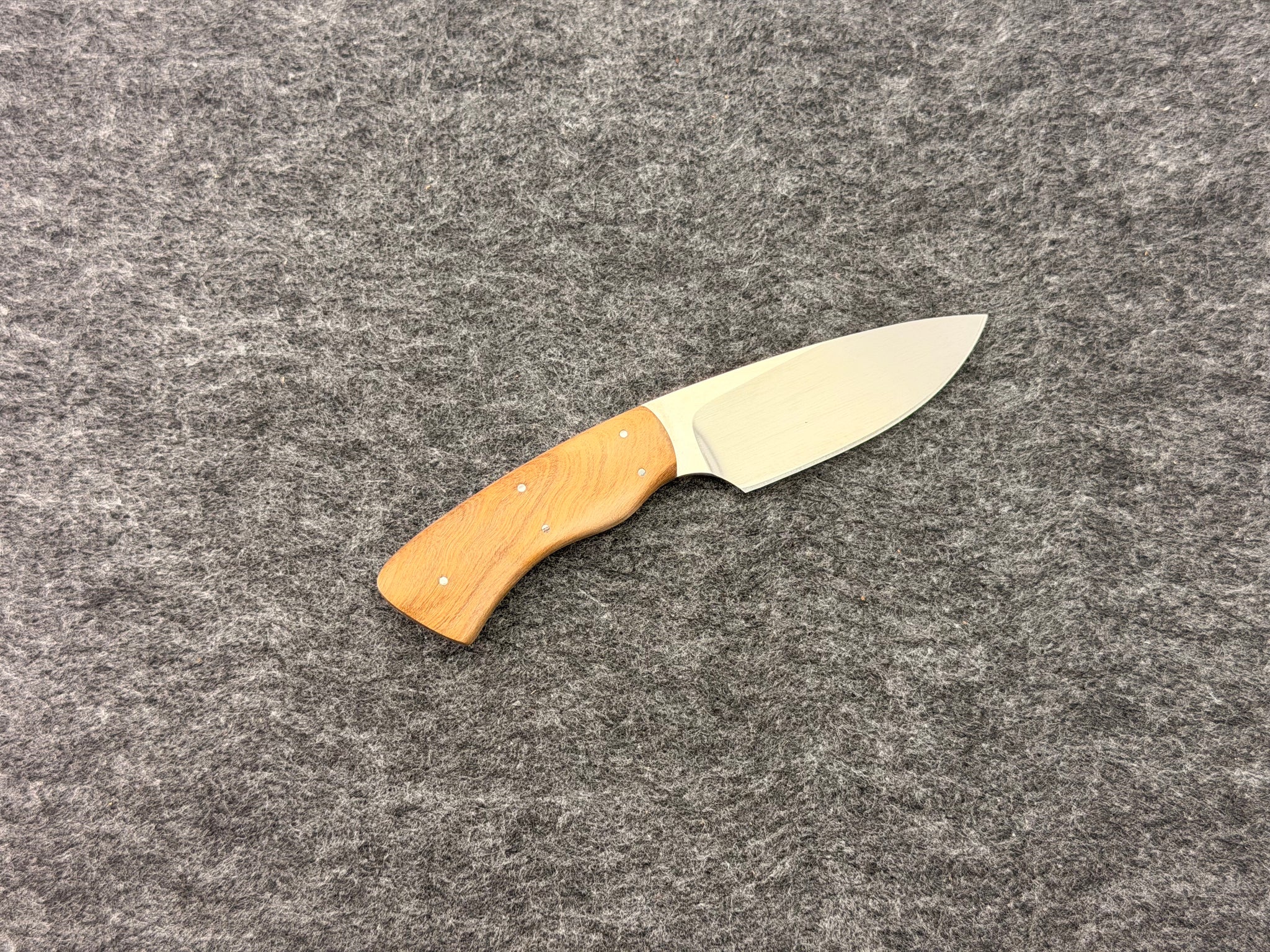 Arno Bernard - Gecko Model w/ Wild Olive - 5315-2