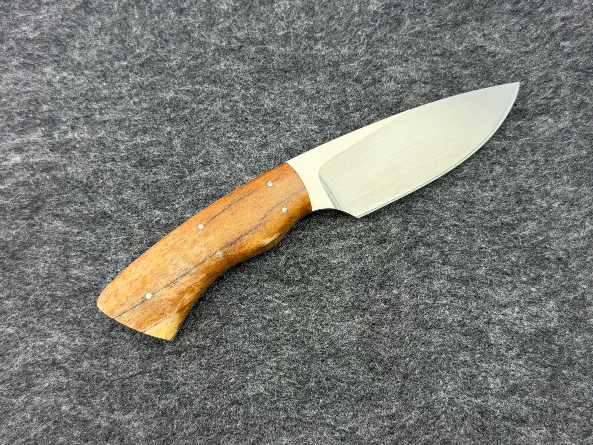 Arno Bernard - Gecko Model w/ Giraffe Bone - 5302