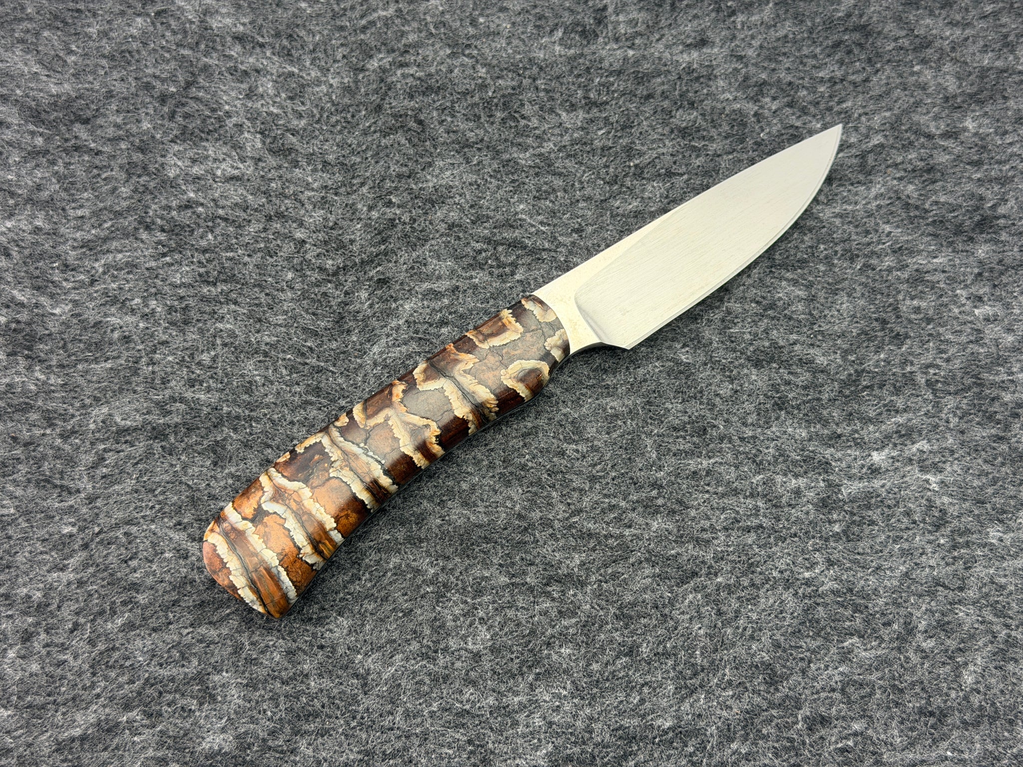 Arno Bernard - Jackal Model w/ Mammoth Molar - 4213