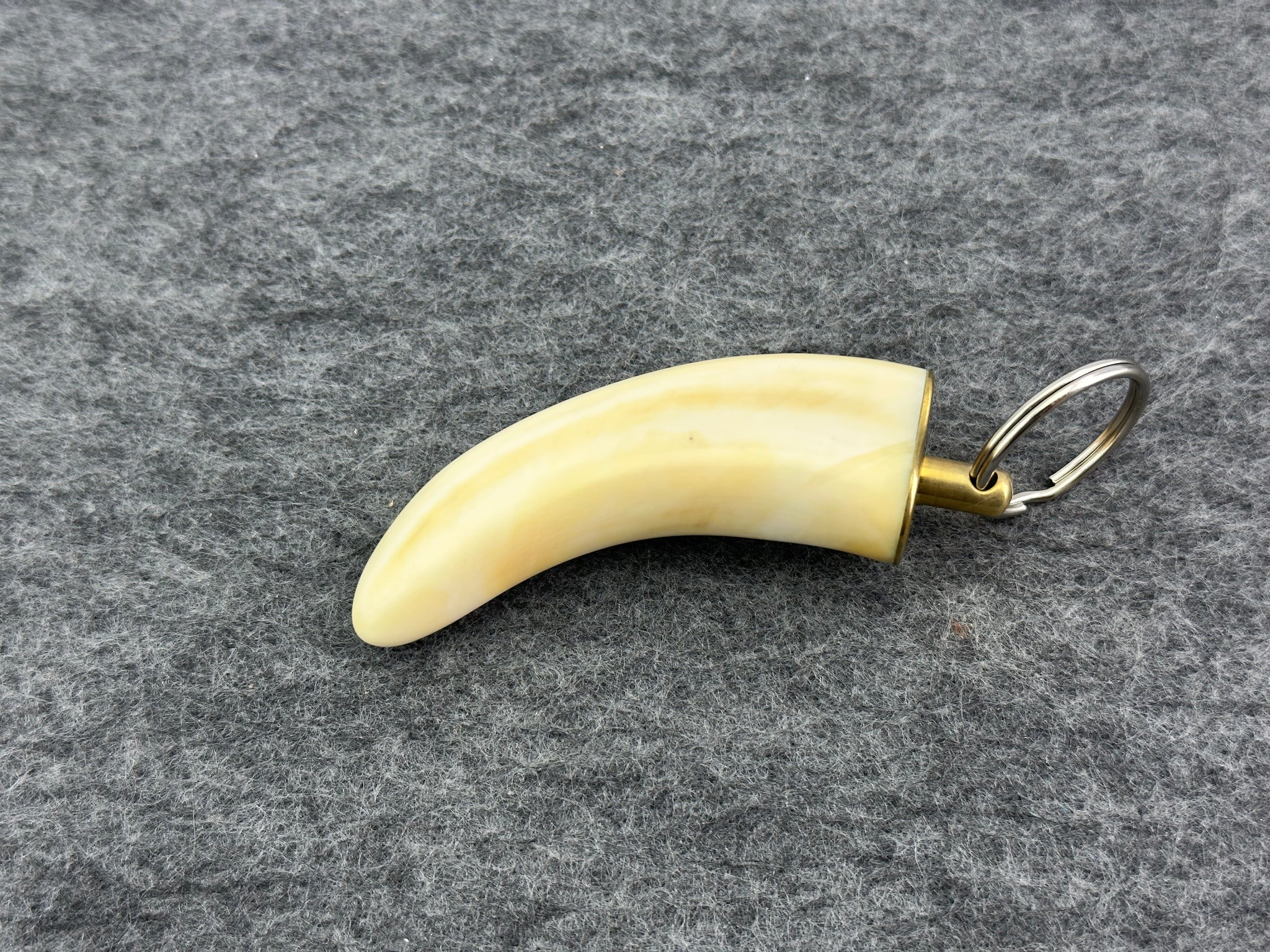 Warthog Ivory Tusk Keychain - Large 3”+