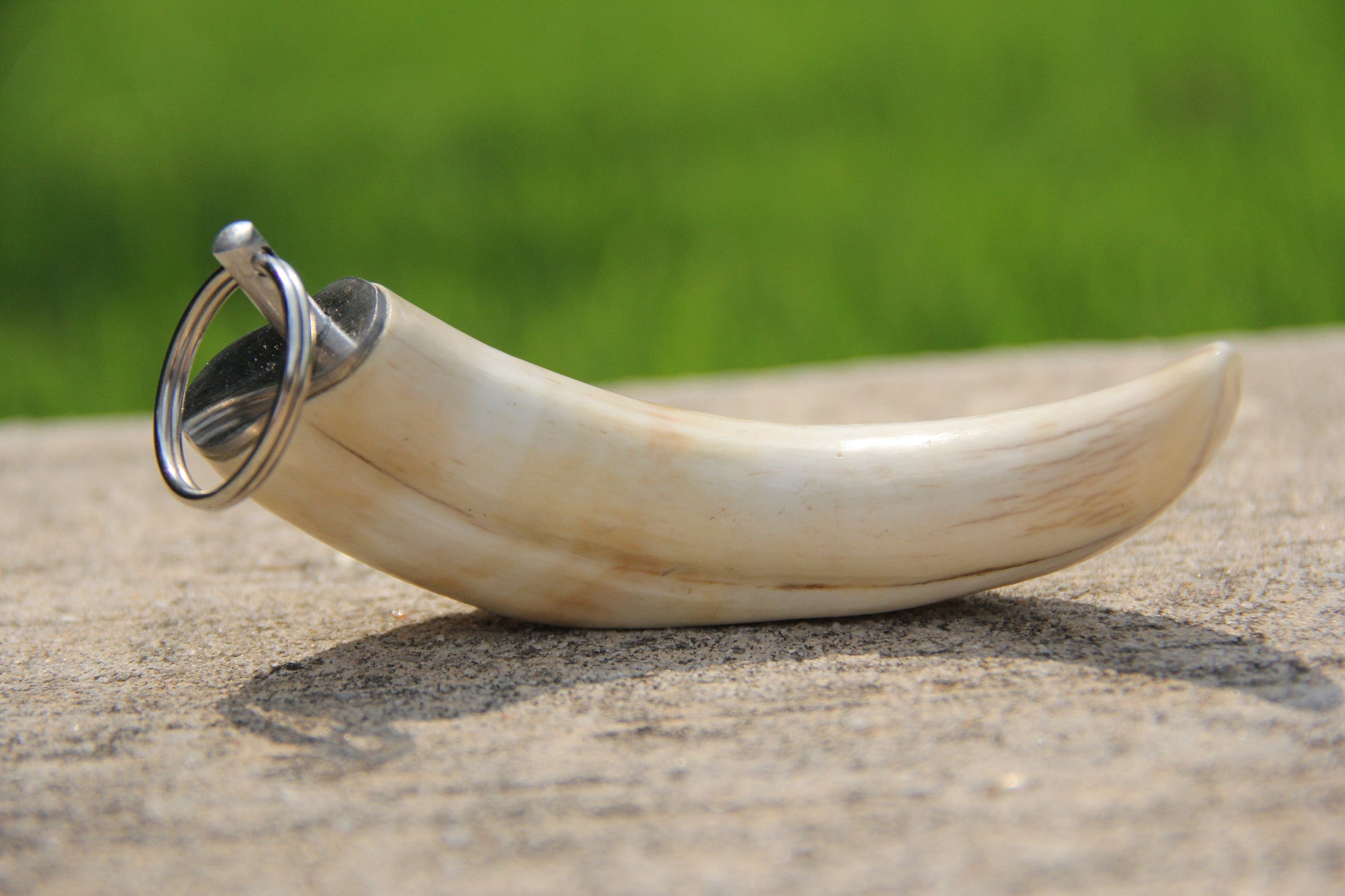 Warthog Ivory Tusk Keychain - Large 3”+