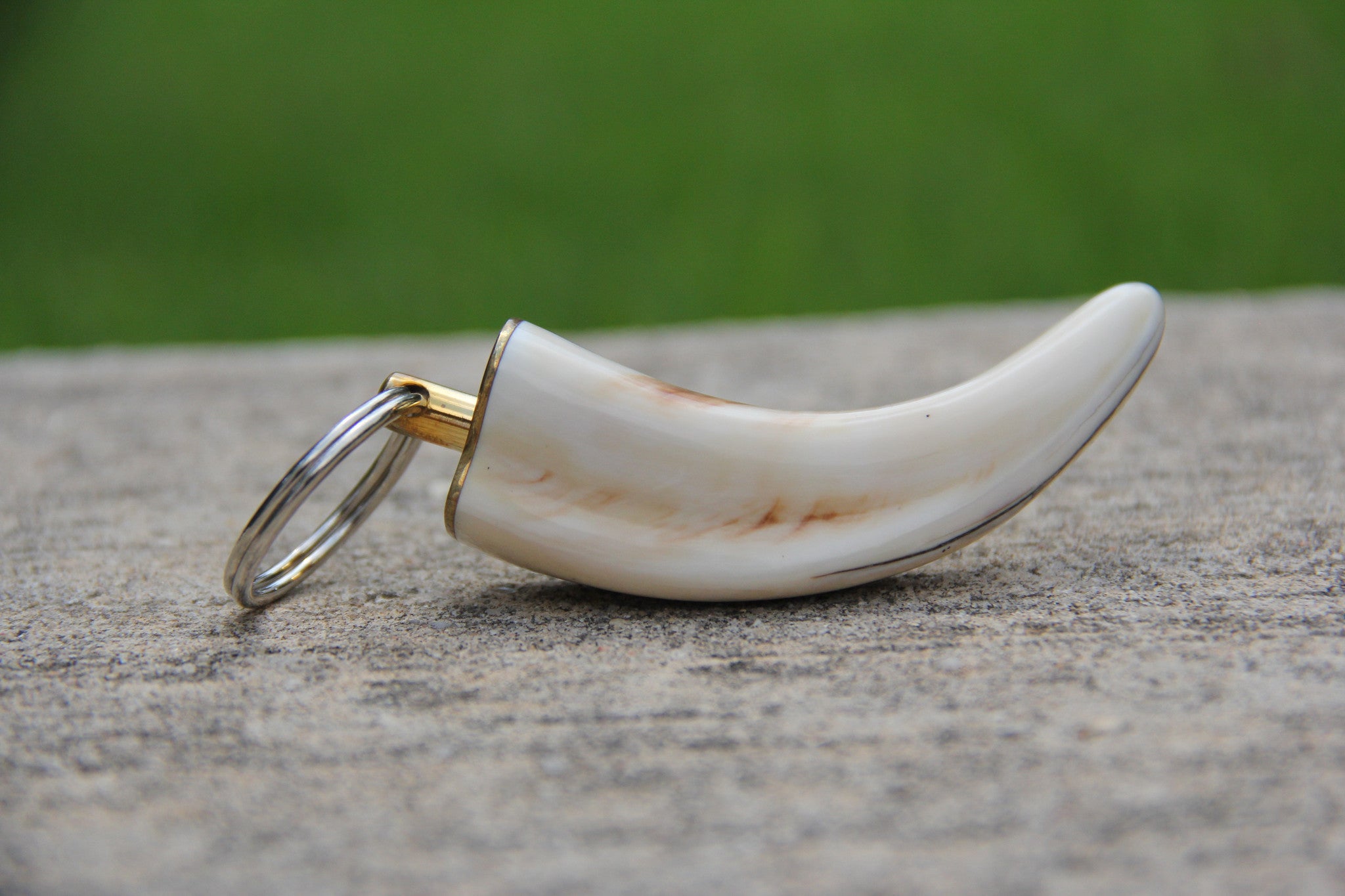 Warthog Ivory Tusk Keychain - Medium