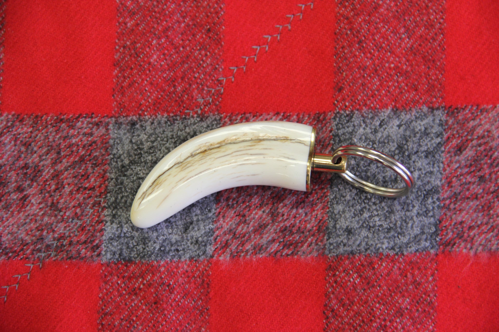 Warthog Ivory Tusk Keychain - Medium