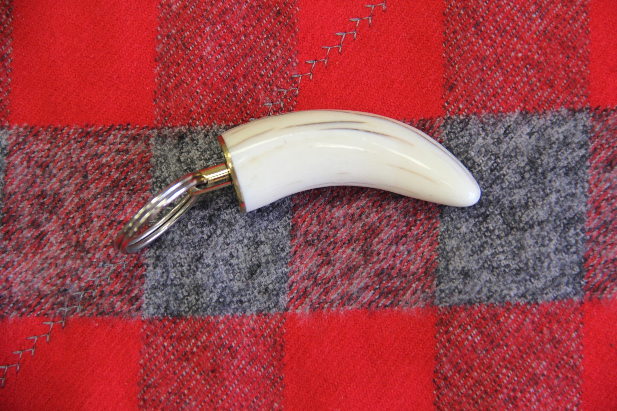 Warthog Ivory Tusk Keychain - Medium